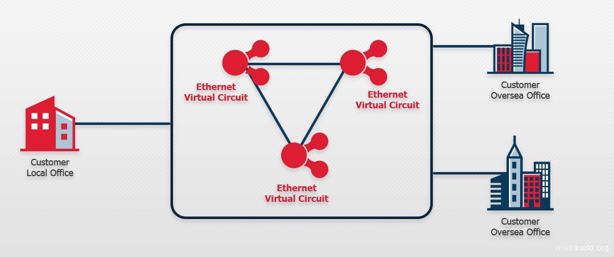 IPLC、IEPL详细介绍及区别, MatrixInfo