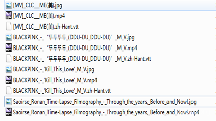如何下载YouTube视频的字幕?, MatrixInfo